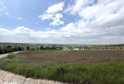 Teren de 5000 mp, în Miroslava