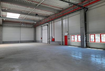 Spațiu industrial, de 431 mp, în Nord - 2
