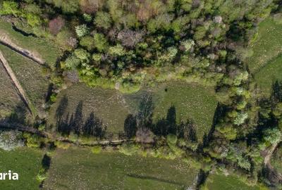 Teren de 6800 mp, în Tohănița - 1