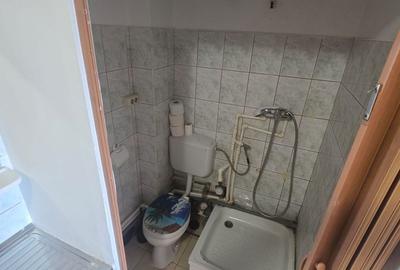 Garsonieră nedecomandată în Lugojului