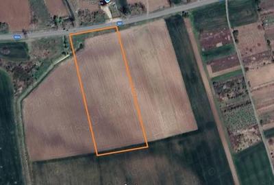 Teren de 20000 mp, în Bolintin-Deal
