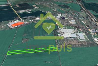 Teren agricol extravilan de 30000 mp, în Torontalului - 2