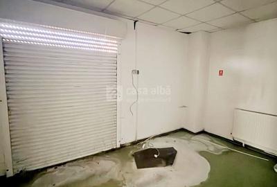 Spațiu industrial, de 208.5 mp, în Nicolina - 3