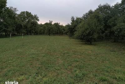 Teren de 4300 mp, în Km 4 - 3