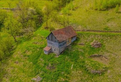 Teren agricol extravilan de 18537 mp, în Poiana Mărului - 9