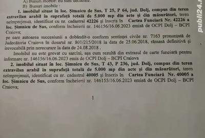 Teren de 10000 mp, în Șimnicu de Sus