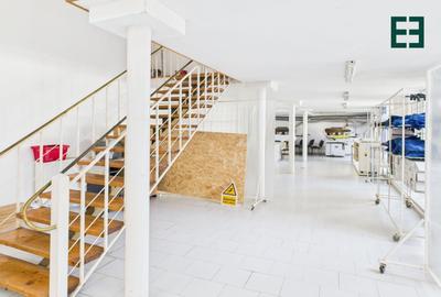 Spațiu industrial, de 450 mp, în Elisabetin - 1