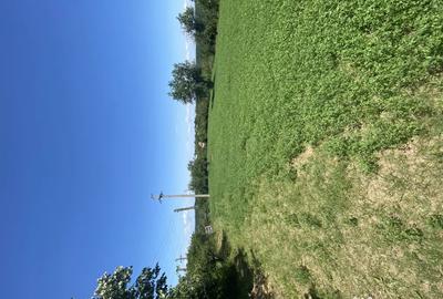 Teren de 16600 mp, în Cocu