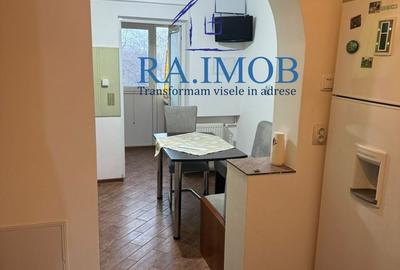 Apartament cu 2 camere decomandat în Malu Roșu - 11
