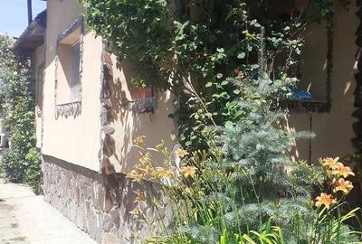 Casă cu Teren 635 Mp în Ocoliș - 3