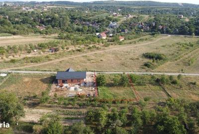 Spațiu comercial, în Viile Satu Mare