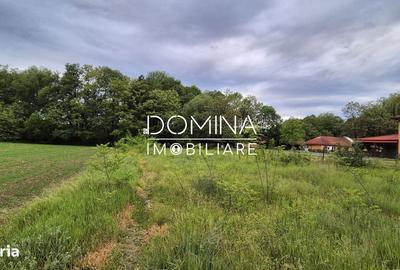 Spațiu comercial, în Runcu - 3