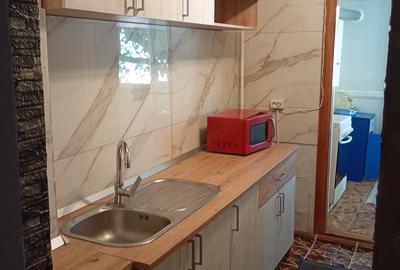 Apartament cu 2 camere decomandat în Broșteni - 7