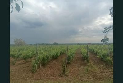 Teren de 1800 mp, în Valea Călugărească - 8