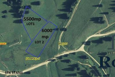 Teren Construcții intravilan de 11500 mp, în Drumul Poienii - 5