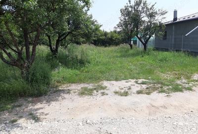 Teren de 500 mp, în Vedea