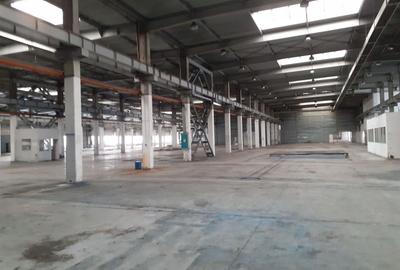 Spațiu industrial, de 2,920 mp, în Timișoara - 6