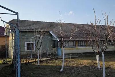 Casă cu 2 camere cu Teren 1500 Mp în Urzica - 2