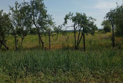 Casă cu Teren 7000 Mp în Săbiești - 3