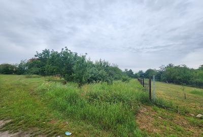 Teren Construcții extravilan de 1000 mp, în Giroc - 1