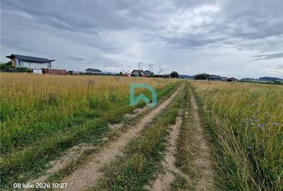 Teren Construcții intravilan de 600 mp, în Sânpetru