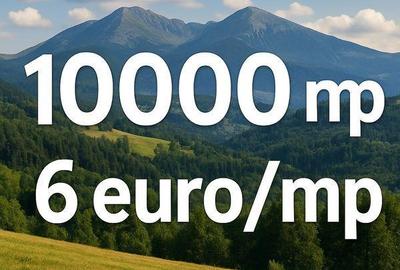 Teren de 10000 mp, în Cazasu