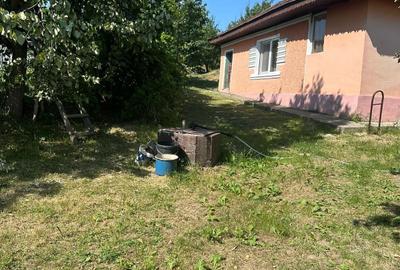 Casă individuală cu 3 camere cu Teren 5700 Mp în Pădureni (Grajduri) - 5