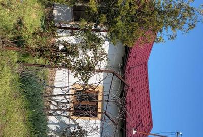 Casă cu 3 camere în Tătărăștii de Sus - 6