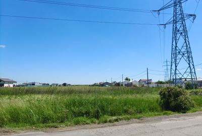 Teren intravilan de 10000 mp, în Săbăreni - 8