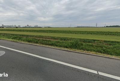 Teren de 26800 mp, în Lehliu - 1