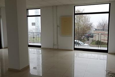 Spațiu comercial, de 62 mp, în Torontalului - 7