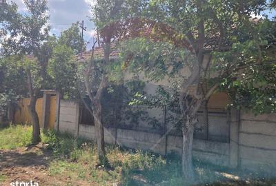 Casă cu 4 camere cu Teren 2676 Mp în Ciumeghiu - 5