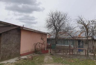 Casă cu Teren 1000 Mp în Cucueți - 2