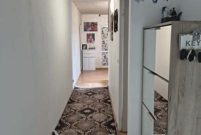 Apartament cu 2 camere decomandat în Paltin