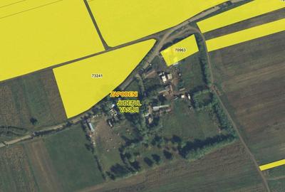 Teren de 9000 mp, în Zăpodeni