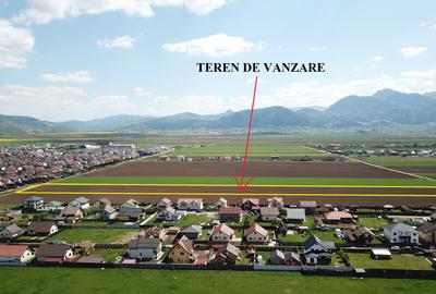 Teren Construcții extravilan de 29200 mp, în Tărlungeni - 5