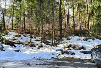 Teren de 835 mp, în Furnica