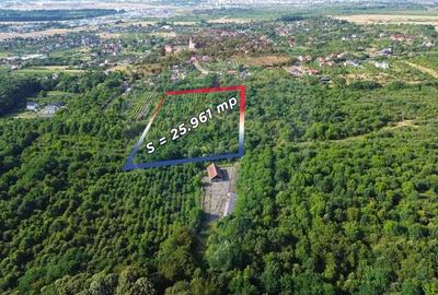 Teren de 25961 mp, în Satu Nou de Jos - 4
