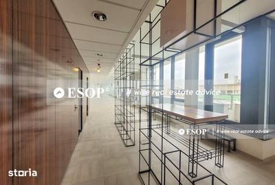Spațiu comercial, de 3,838 mp, în Cișmigiu - 8
