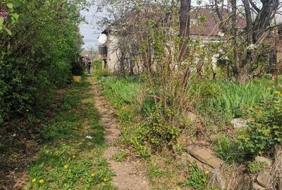 Casă cu Teren 1600 Mp în Dumbrăvești
