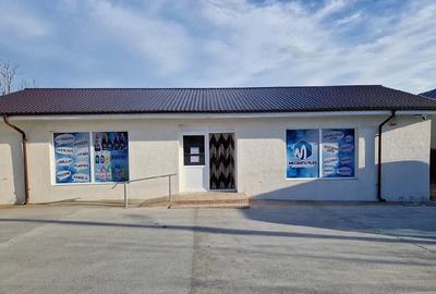 Spațiu comercial, de 170 mp, în Ciocănești - 1