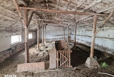 Teren de 1600 mp, în Rasova - 7