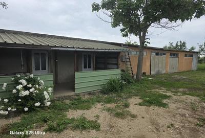 Teren de 3400 mp, în Copăceanca - 4
