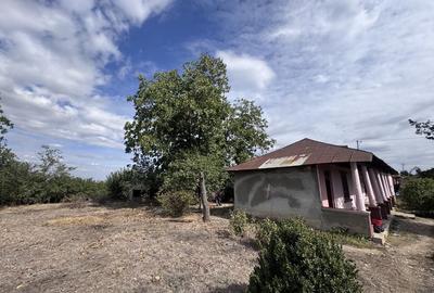 Casă cu 4 camere în Copaciu - 9