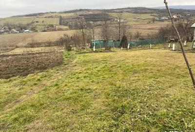 Teren de 4750 mp, în Chicerea - 9