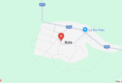 Casă individuală cu 4 camere cu Teren 5000 Mp în Buta