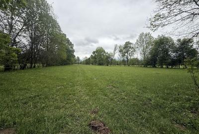 Teren de 7000 mp, în Pojorta - 3