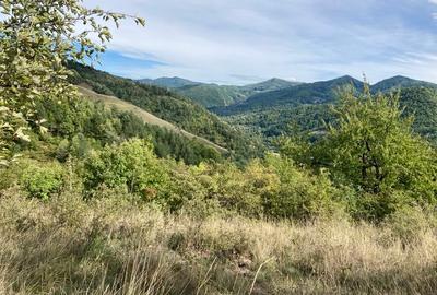 Teren de 4420 mp, în Vinețisu - 2