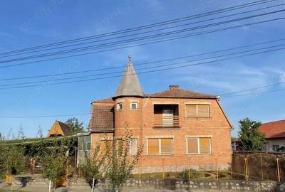 Casă cu 6 camere cu Teren 3000 Mp în Jimbolia - 9