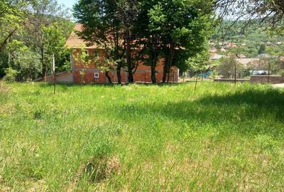 Teren de 909 mp, în Ciumărna - 3